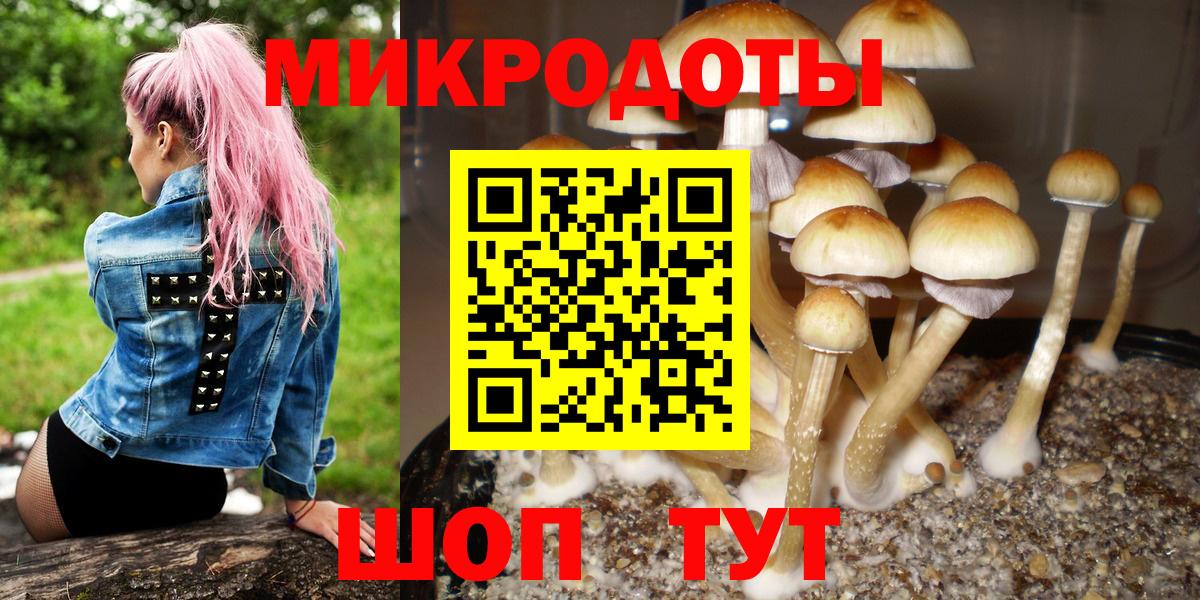 Галлюциногенные грибы Psilocybe  Вход с VPN  Новоалександровск 