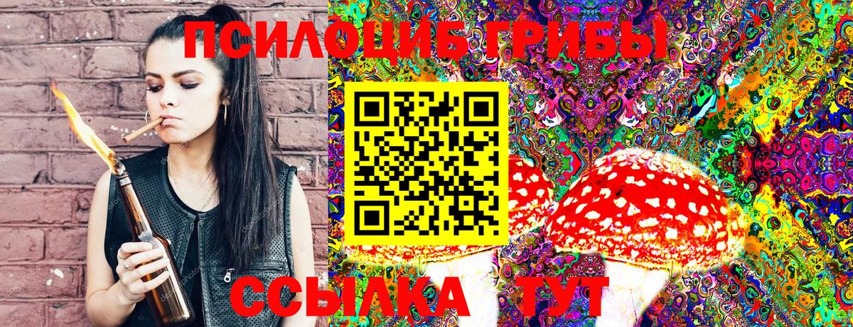 Псилоцибиновые грибы GOLDEN TEACHER Новоалександровск